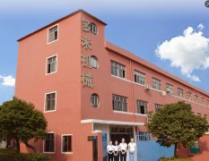 多米（廣東）智能裝備有限公司